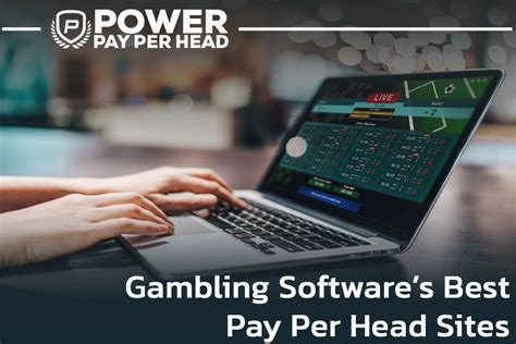 pay per head sites